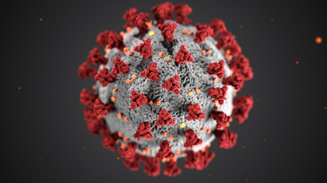 CDC rendering of the novel corona virus